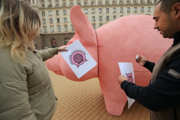 Снимка: Димитър Кьосемарлиев, Bulgaria ON AIR